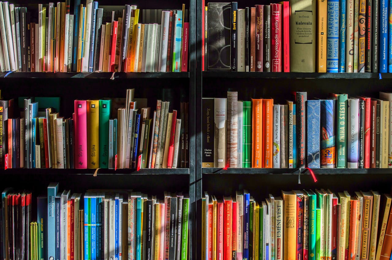 gallery-4 Vibrant collection of books on shelves for reading, research, and education.